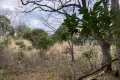 熱海市網代・網代山別荘地内温泉引込可能な広大な土地　約7070坪 画像10