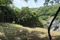 現地