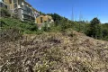 現地