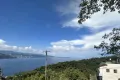 熱海市網代・緑豊かな自然に囲まれた温泉引込可能な売地　約250坪 画像6
