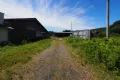 現地11