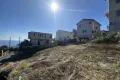 現地