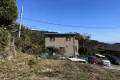 現地