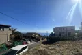 現地