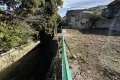 現地
