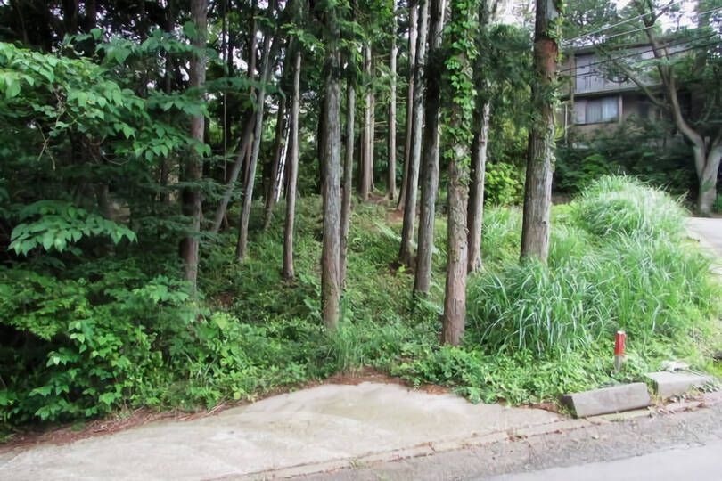 現地