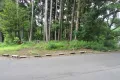 現地