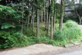 現地