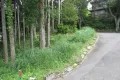 現地