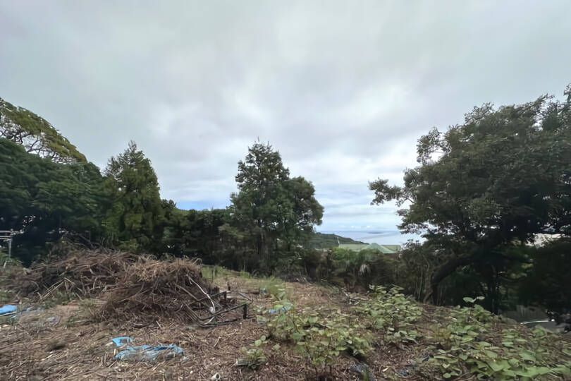 現地