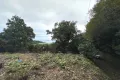 現地