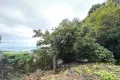 現地