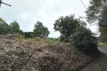 現地