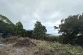 現地