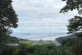 現地