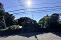 現地