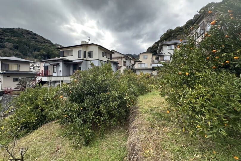 現地