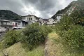 現地