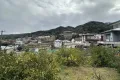 現地