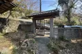 現地5