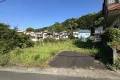 現地