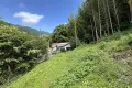 現地