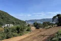 現地