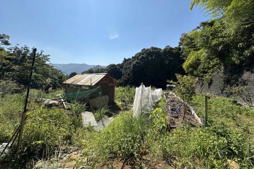現地