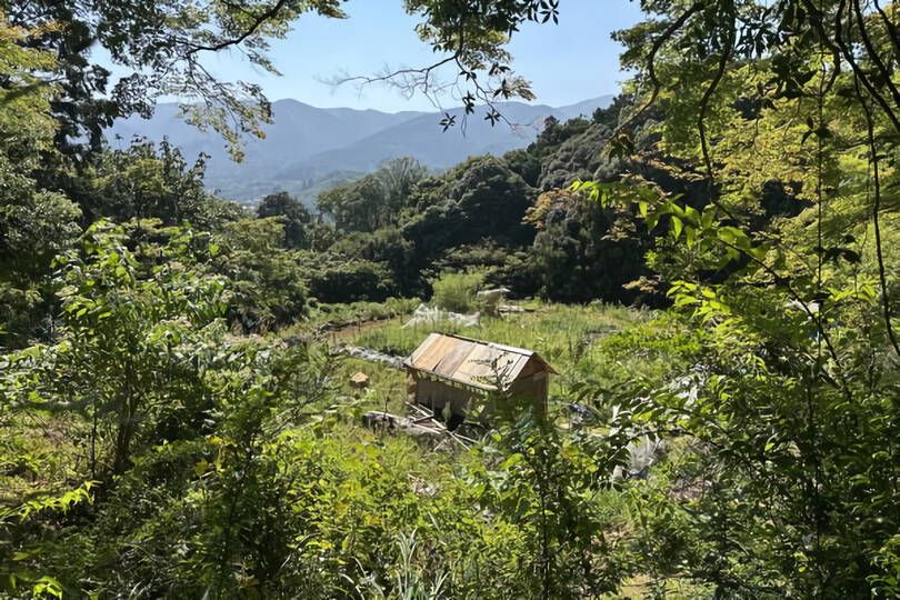現地