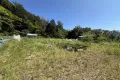 現地