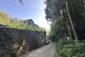 現地