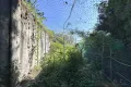 現地