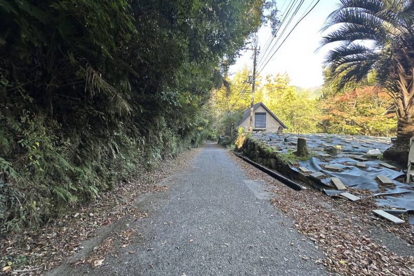 前面道路