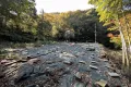 現地