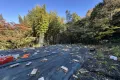 現地