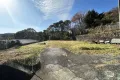 現地