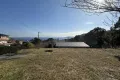 現地