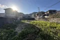 現地