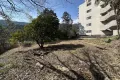 現地