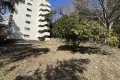 現地
