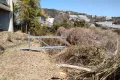 現地