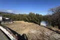 現地