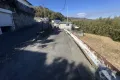 現地
