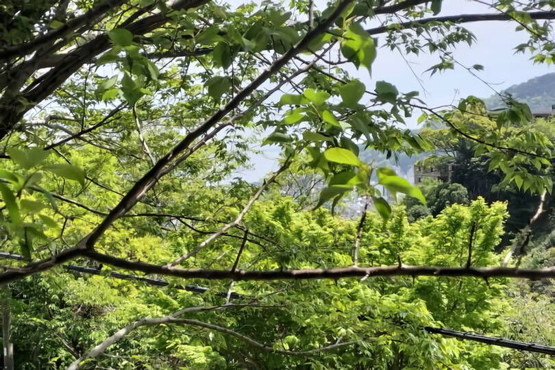 熱海市梅園町・四季の彩りと静寂に包まれる陽当たり良好な売地 約89坪