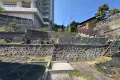 現地