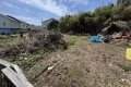 現地