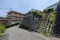 現地