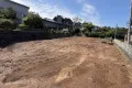 現地