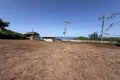 現地