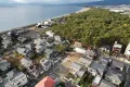 上空からの様子